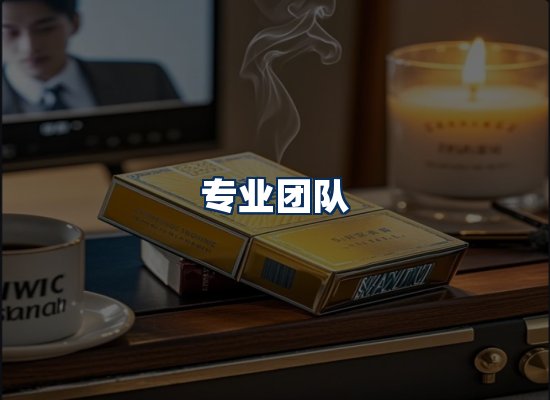 专业团队